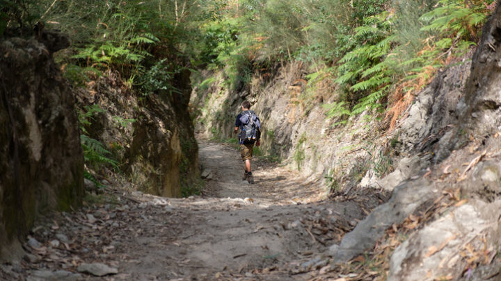 Camino de Santiago por la zona portuguesa