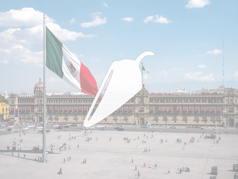 Ir a la Feria Chapultepec 