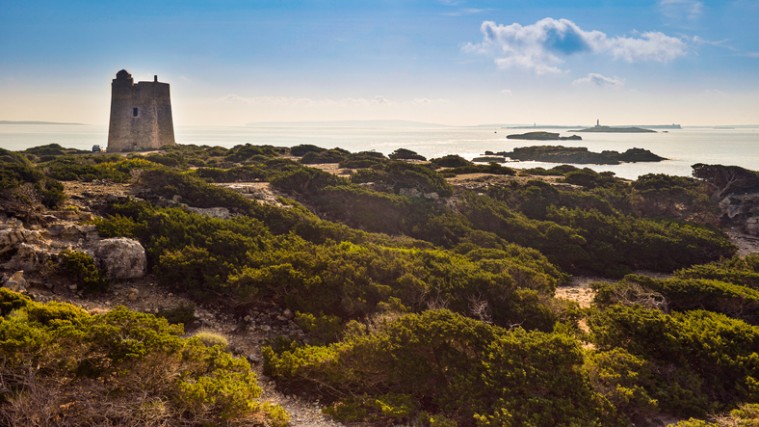 viajar a Ibiza