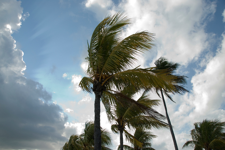 Clima en el Caribe: Huracanes