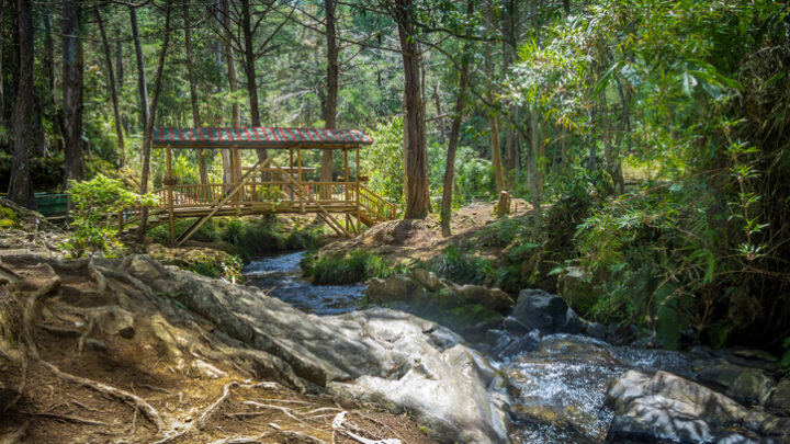 Los Colorados: Santuario de Flora y Fauna