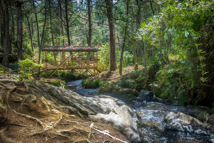 Los Colorados: Santuario de Flora y Fauna