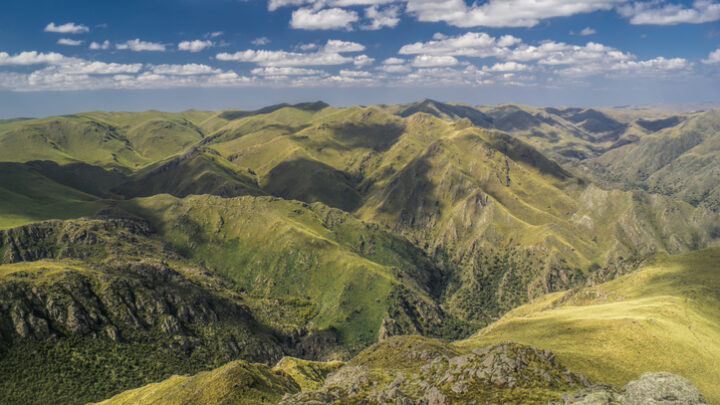 Panaholma en Valle Traslasierra