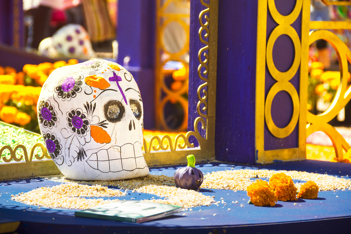 Día de los Muertos 2014 en el DF