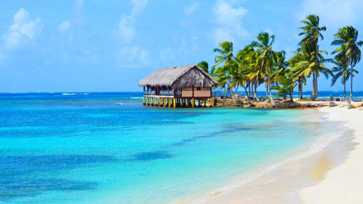 Qué ver en Isla de Barro Colorado en Panamá