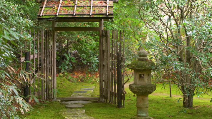 Los Jardines más impactantes en Japón