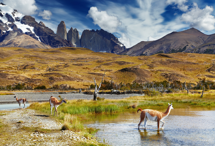 Los mejores parques de Chile para visitar Los mejores parques de Chile para visitar