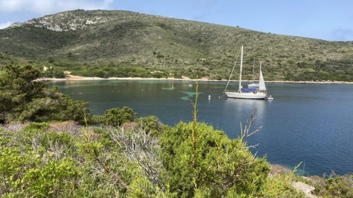 Excursiones en barco para disfrutar Mallorca