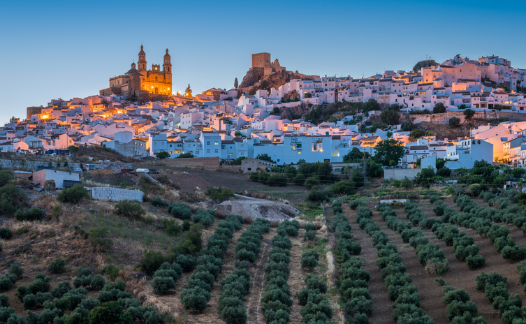 Olvera