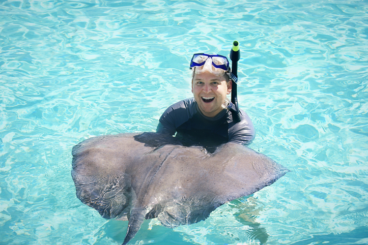 Stingray; la ciudad de las rayas en las Islas Caimán
