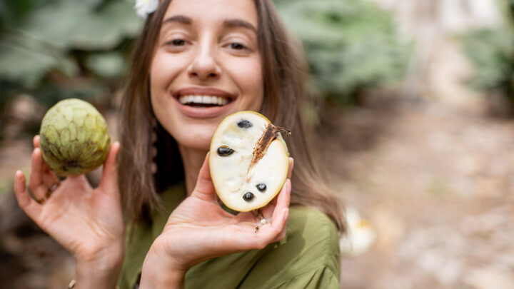 La chirimoya, dulce sabor de Granada en la costa tropical española