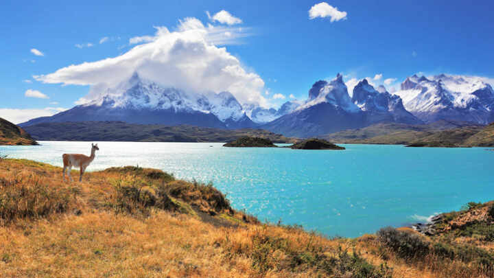 Lo más leído en 2014 – CosasDeChile