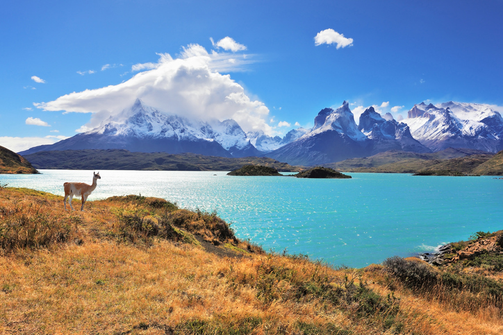 Lo más leído en 2014 – CosasDeChile
