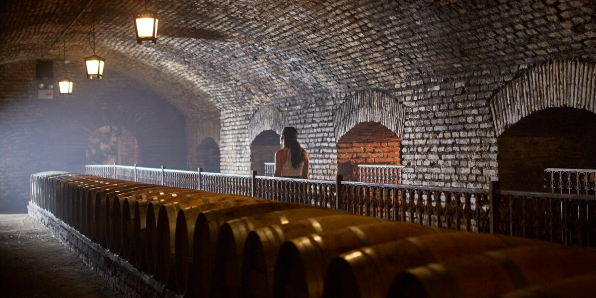 Descubre el Centro del Vino Concha y Toro: Una experiencia enoturística que lo tiene todo