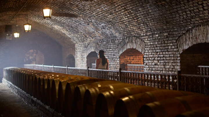 Descubre el Centro del Vino Concha y Toro: Una experiencia enoturística que lo tiene todo